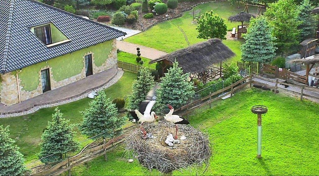 Agroturystyka Klekusiowo Boleslawiec (Lower Silesia) Exterior foto