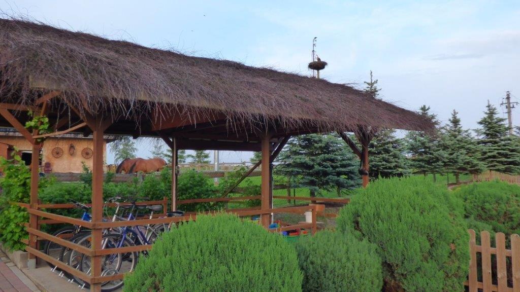 Agroturystyka Klekusiowo Boleslawiec (Lower Silesia) Exterior foto