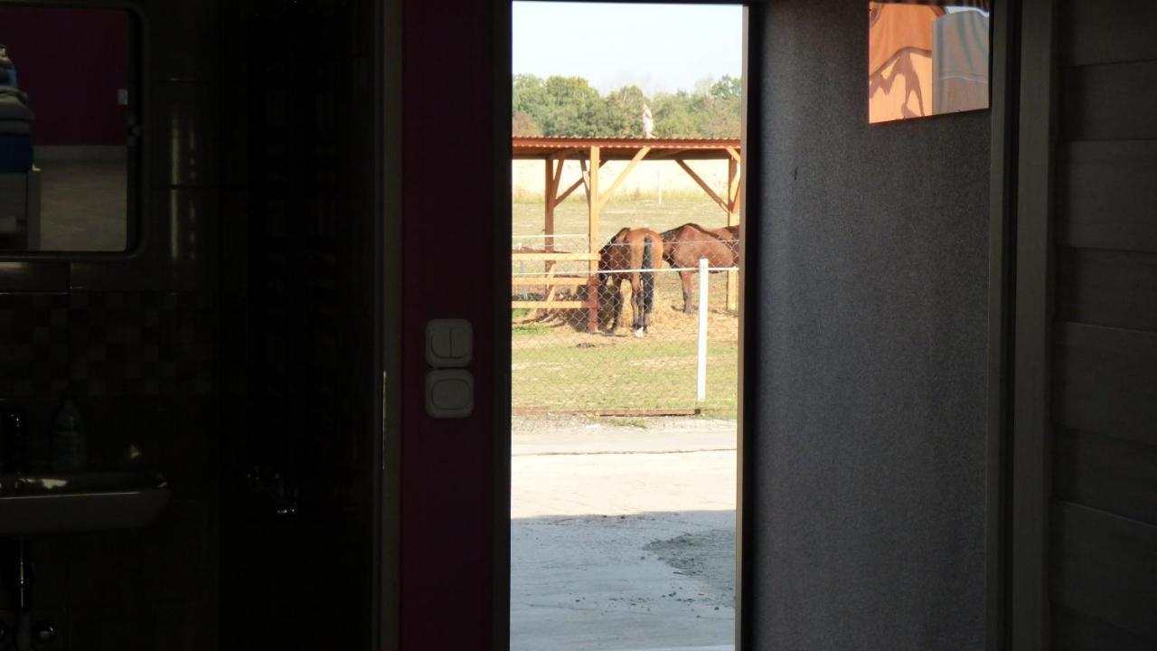 Agroturystyka Klekusiowo Boleslawiec (Lower Silesia) Exterior foto